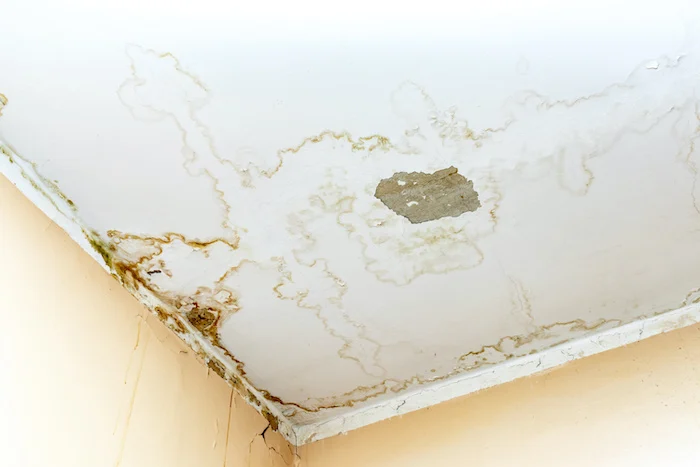 Ceiling showing damage from a ceiling leak, with visible water stains and peeling paint.
